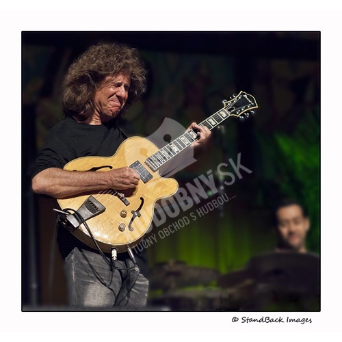 Pat Metheny