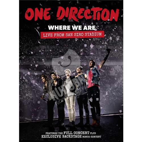 One Direction - Where We Are (Live From San Siro Stadium)