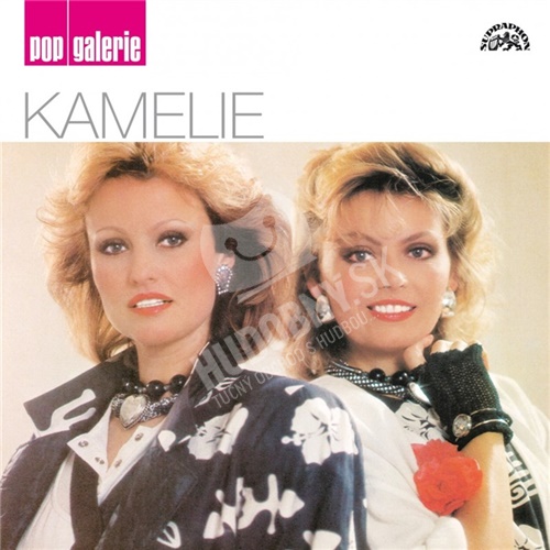 Kamelie - Pop Galerie